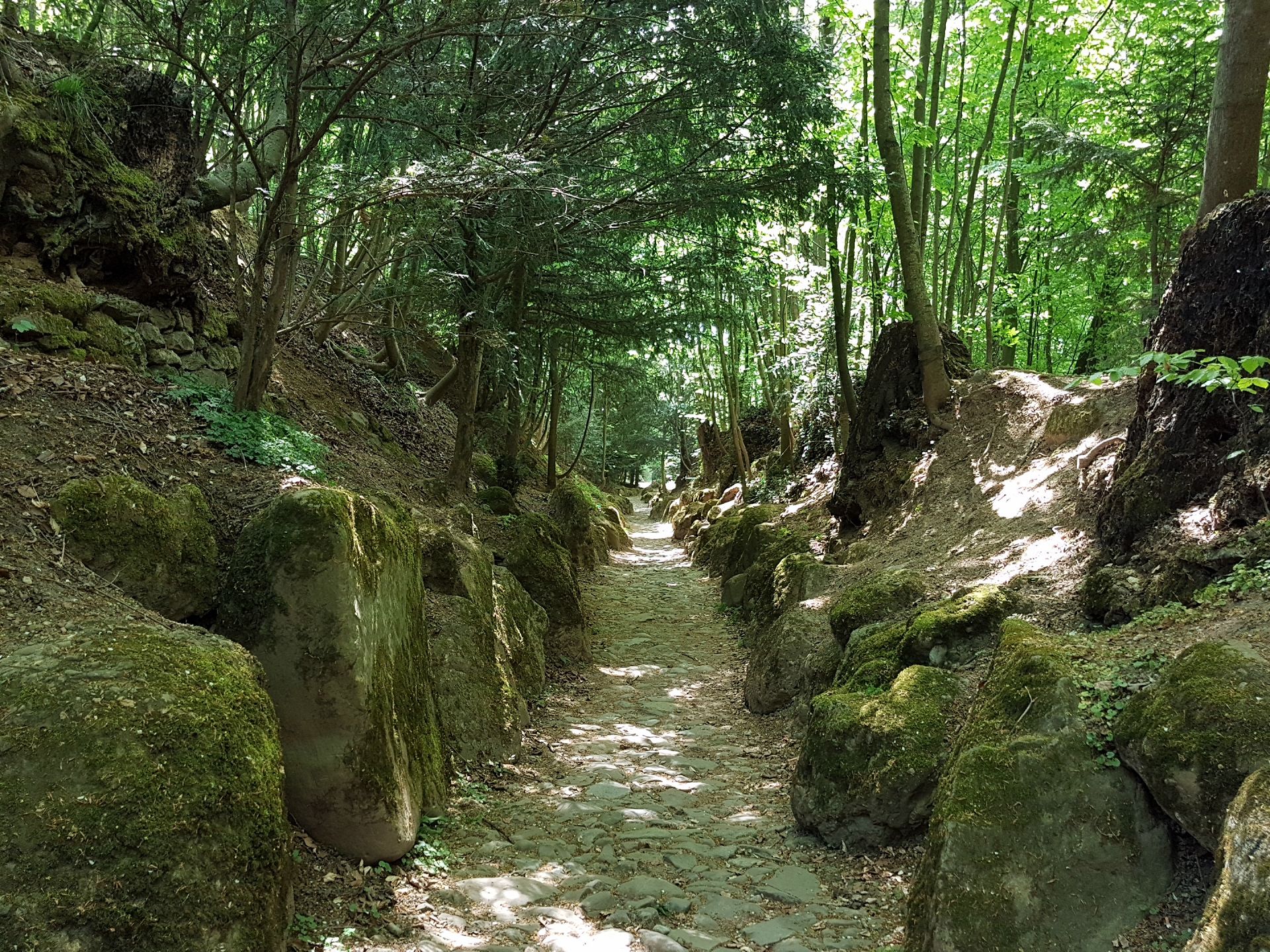 Küssnacht